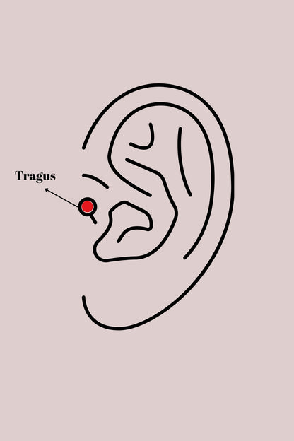 316L Çelik Gümüş Renk Renkli Zirkon Taşlı Yıldız Model Tragus Piercing - PR1355